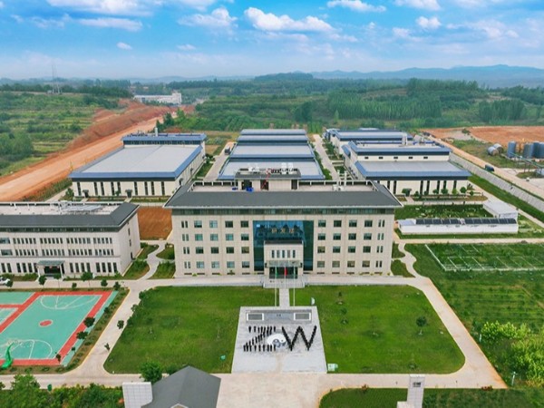 2024半年度啟動會團隊造型